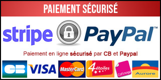 Paiement CB en ligne sécurisé par carte bancaire ou paypal (avec ou sans compte)